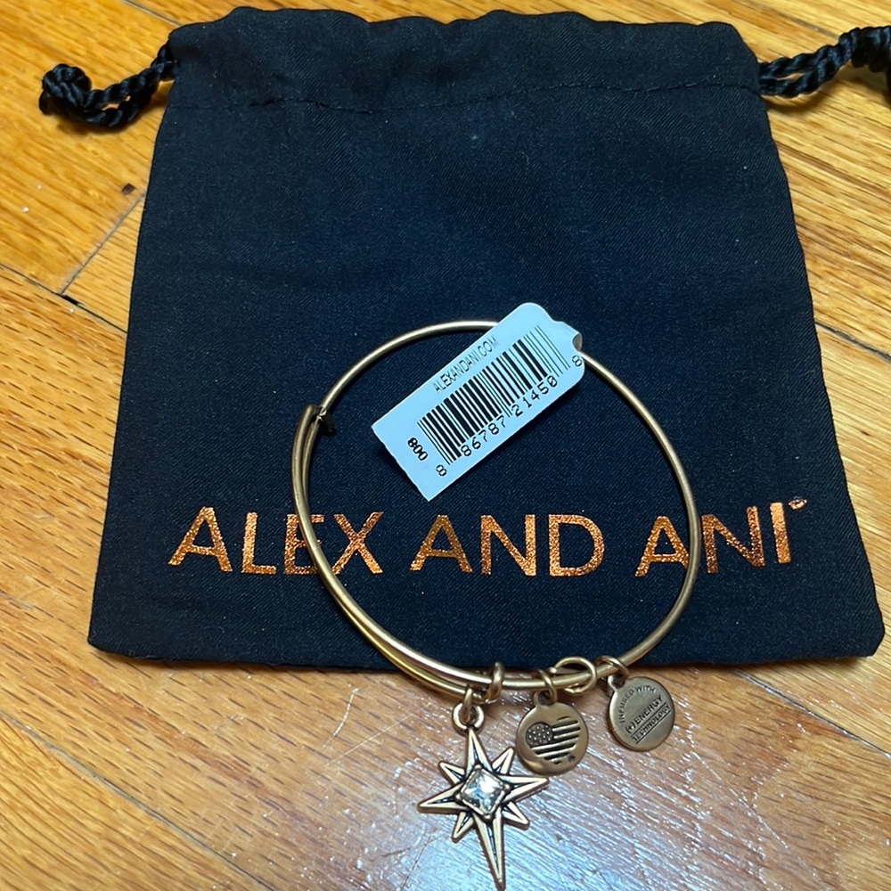 Alex and Ani North Star ⭐️ Charm Bracelet